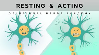 Resting vs Action Potential Simplified Explanation [upl. by Einahpehs712]