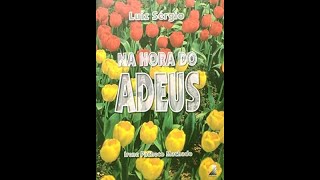 Na Hora do Adeus cap 26 Autora Irene Pacheco Machado EspíritoLuiz Sérgio [upl. by Proffitt]