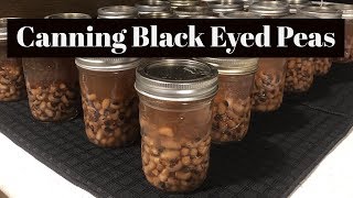 Jar It Up January VR  Canning Black Eyed Peas  No Soak Method [upl. by Melonie246]