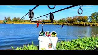 РЫБАЛКА С НОЧЕВКОЙ ЛОВЛЯ КАРПА В ОКТЯБРЕ НА ФЛЭТ ВСТРЕЧА С RoMaX Fishing [upl. by Ashjian]