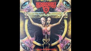 Hypocrisy  Osculum Obscenum 1993  FULL ALBUM [upl. by Aleibarg]