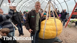 TheMoment a PEI man won big with his giant pumpkin [upl. by Annez]