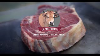 Présentation de la race Parthenaise [upl. by Aehsat]