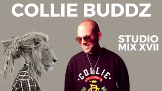 Collie Buddz Special [upl. by Merill]