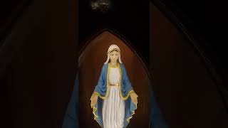 Amger Saibinn Ave Maria  visitation of blessed Mother Mary at home [upl. by Kcirdnekel]