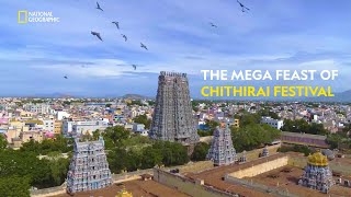 The Mega Feast of Chithirai Festival  India’s Mega Festivals  Full Episode  National Geographic [upl. by Maximilianus]