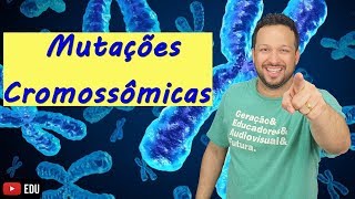 Mutações Cromossômicas  Cromossomos  Biologia com o Tubarão [upl. by Mellar]