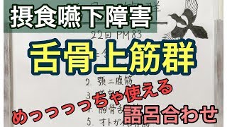 【語呂合わせ】舌骨上筋群と支配神経！すごく便利な覚え方！ [upl. by Coates]