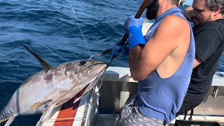 YELLOWFIN  BIGEYE TUNA FISHING NORTHEAST CANYONS  Greenstick Tuna Fishing  Ep 49 [upl. by Benedetto155]