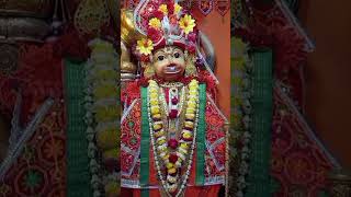 jiragadh rokadiya dada 💐🙏 only daily Saturday Darshan શ્રી રોકડિયા હનુમાનજી યાત્રાધામ  જીરાગઢ [upl. by Anoiuq451]