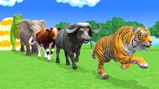 Long Slide Game With Elephant Gorilla Buffalo Hippopotamus Tiger  3d Animal Game  Funny 3d Animals [upl. by Atineg864]