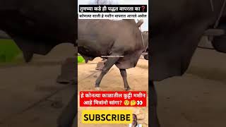 🧐कोणत्या काळातील कुट्टी मशीन आहे मित्रांनो🤔👀😯farmingshortvideosviralshortsRoyalशेतकरीशेतकरीbran [upl. by Nan]