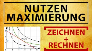 NUTZENMAXIMIERUNG Optimierung mit Indifferenzkurven  Budgetgerade Konsumplan und Nachfrage [upl. by Shandie]