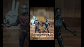 AntMan and Black Panther II [upl. by Solnit285]