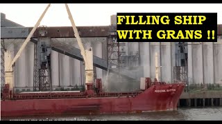 Grain Loading In Bulk Carrier Merchant Ship  Bulk Carrier Dry Cargo Loading  Gear Bulk [upl. by Gerdy]