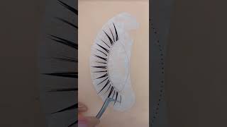 Manga Style Eyelash Tutorial  Beginners Guide eyelashextensions [upl. by Yelekreb986]