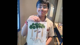 Grade 7  Topic Forest Our lifeline Activity Craft works on layers of the forest [upl. by Adnawad]