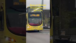 Buses at Mossley Brookbottom on 061124 beenetwork stagecoachbus bus beenetworkgm [upl. by Noside]