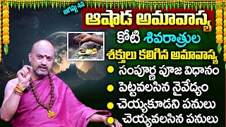 Ashada Amavasya 2024  Amavasya Date and Time  Remedies for Amavasya  Nandi Bhatla Srihari Sharma [upl. by Twum]