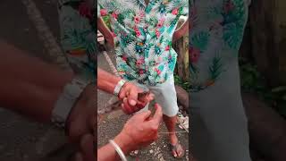 😥பழைய GOA மாறி இல்லைனு அவர் சொல்லறாரு 😪 shorts youtubeshorts ashortaday [upl. by Etnohs]