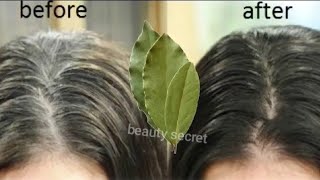 Get rid of gray hair naturally in just 5 minutes and without it coming back [upl. by Hazlip]