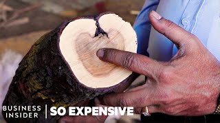 Why Sandalwood Is So Expensive  So Expensive [upl. by Annovaj]