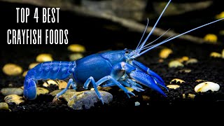 Crayfish Feeding 101 4 essential foods and tips [upl. by Ifok402]