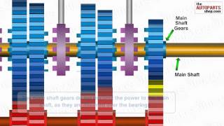 How Car Transmission System Works [upl. by Coy]