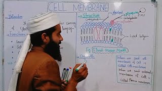 Cell Membranestructure function of plasma membrane 9th biology  Chap4 Lec6  fluid mosaic model [upl. by Miko470]