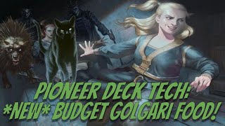 Pioneer Deck Tech NEW Budget Golgari Food [upl. by Nnylahs]