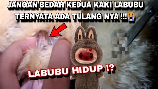 JANGAN BEDAH KEDUA KAKI LABUBU TERNYATA ADA TULANG NYA 😭 LABUBU HIDUP [upl. by Esilahs]