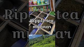 Kanan Devan Hills Plantations Company  Sir Ratan Tata tea plantation Ripple tea [upl. by Vail300]