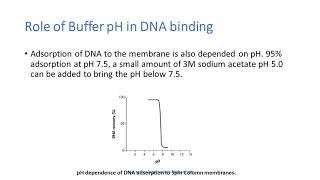 Gel Extraction  Principle Procedure amp Tips for Improved Yield [upl. by Kilar]