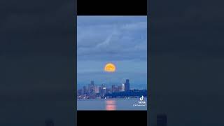 Full Hunters Moon over Seattle 101724 [upl. by Kristofor588]