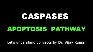 Caspase Activation  Caspases Apoptosis  Apoptosis Mechanism  Apoptosis Pathway  Human Pathology [upl. by Dela744]