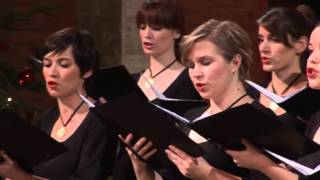 Shchedryk Ščedrik  Chamber Choir Ivan Filipovic Zagreb arr Leontovich [upl. by Lud310]