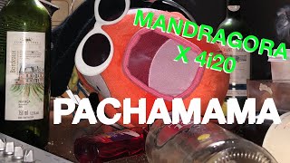 Mandragora x 4i20  Pachamama 170BPM Official Music Video [upl. by Tunnell765]