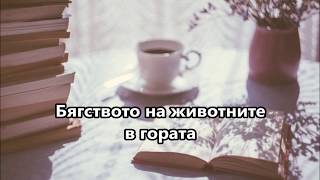 Бягството на животните в гората  Баба дядо и внуче  Народни приказки [upl. by Pacheco]