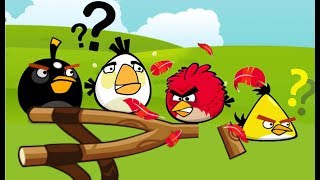 Angry Birds Round Puzzle Skill Game Walkthrough Levels 14 [upl. by Brittan]