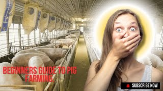 Beginners Guide To Pig Farming [upl. by Gerdy]