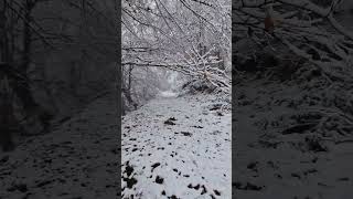 primeras nieves en el valle de Camaleño  Liebana Cantabria picos de europa [upl. by Nevlin]