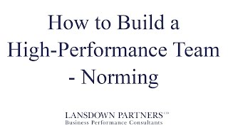 Video 8 How to Build a HighPerformance Team  The Norming Stage [upl. by Perkins515]