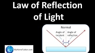 Law of Reflection of Light  Light and Optics [upl. by Amerd641]