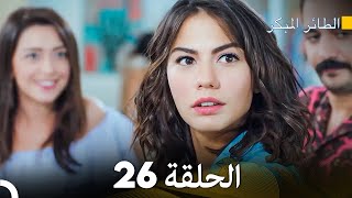 مسلسل الطائر المبكر الحلقة 26 Arabic Dubbed  FULL HD [upl. by Mond]