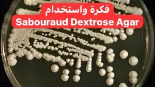 فكرة واستخدام Sabouraud Dextrose Agar [upl. by Dolphin805]