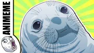 AWKWARD SEAL [upl. by Toma]