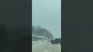 Golf Cart on Fire Spring Break 2024 Port Aransas TX [upl. by Nalepka]