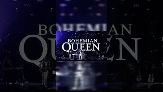 Queen tribute band performs quotDONT STOP ME NOWquot [upl. by Gelasius]