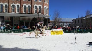 WATCH Ski Joring in Leadville [upl. by Pazit]