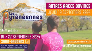 Les Pyrénéennes 2024  Ring 1  Autres races bovines  19092024 [upl. by Stout793]